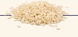 whole grain rice