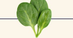 spinach